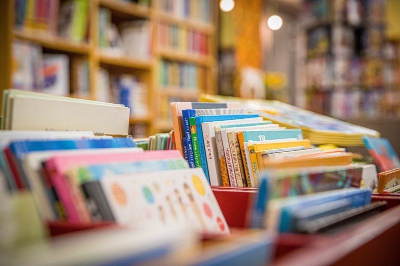 livres-bibliotheque-de-priay livres-bibliotheque-de-priay