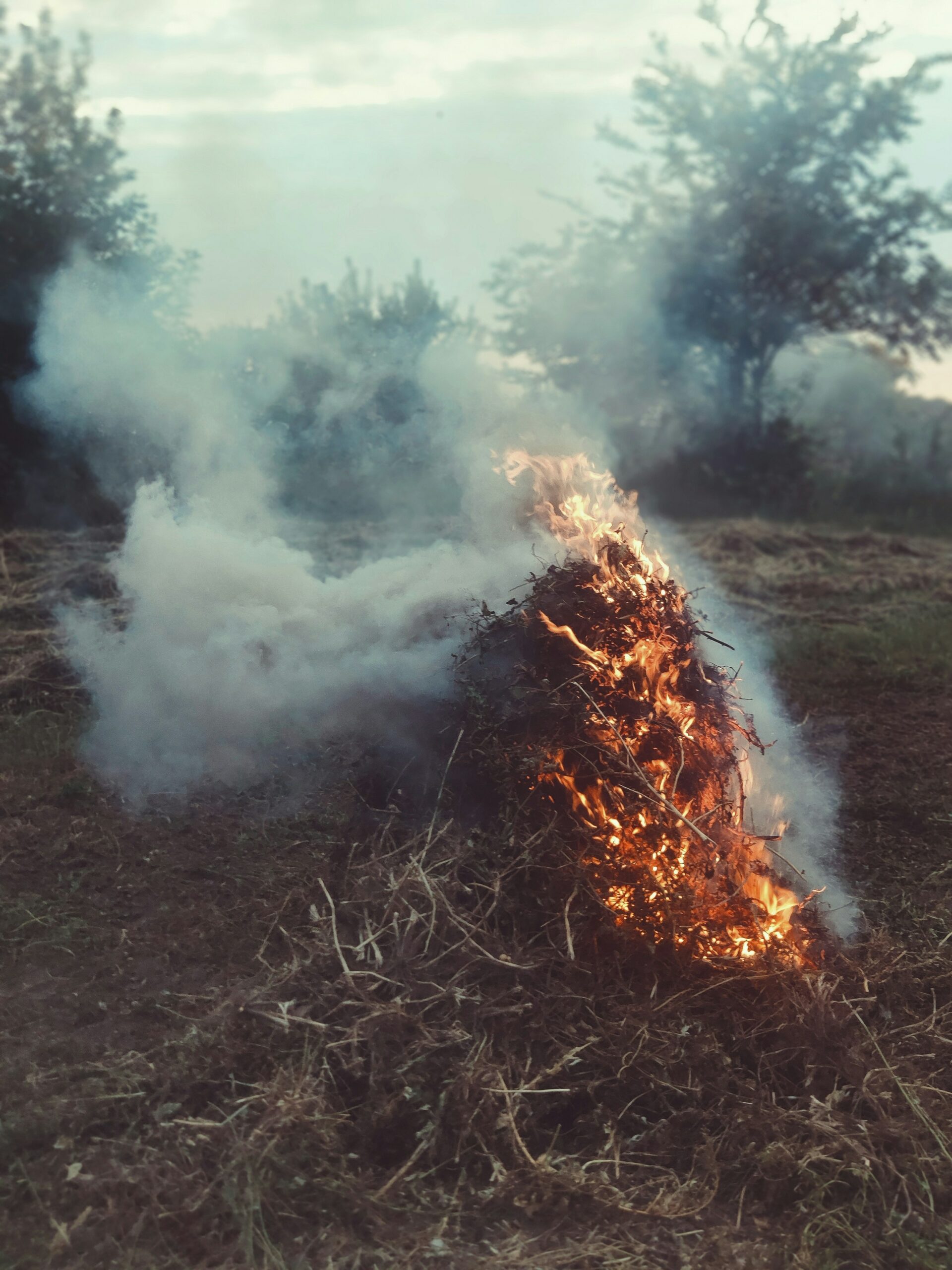 Règle de bon voisinage - brûler des déchets verts - Priay